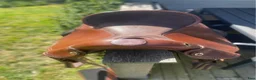Sadlar hästutrustning till salu: D&P Quantum Western S3 - Annons 3