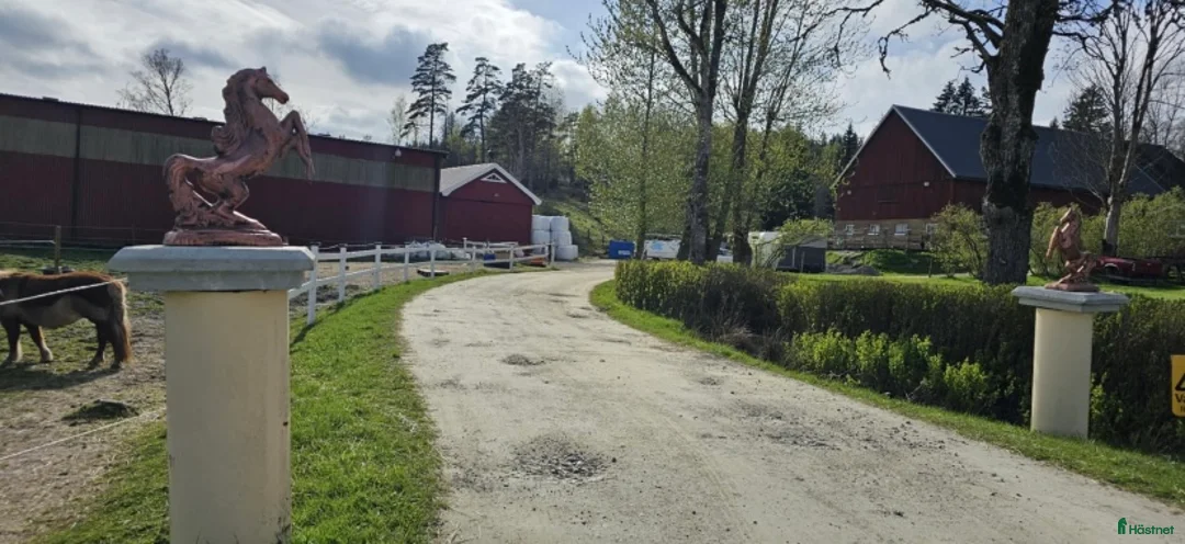  stallplats finnes: Ledig box i kollektivstall i Trollhättan - Annons 1