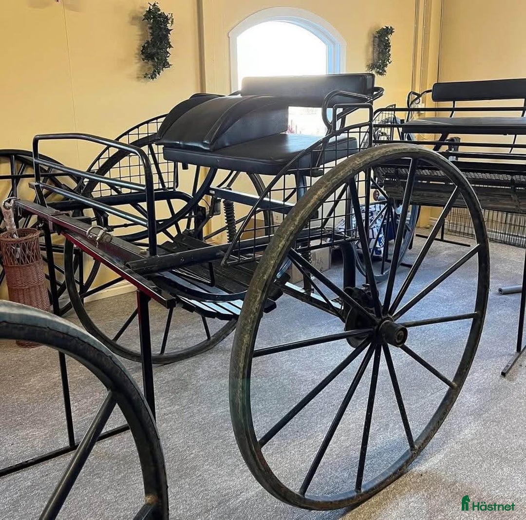 Körvagnar körning till salu: Mörkblå gigg för häst/maxad D i Fagersta - Annons 2