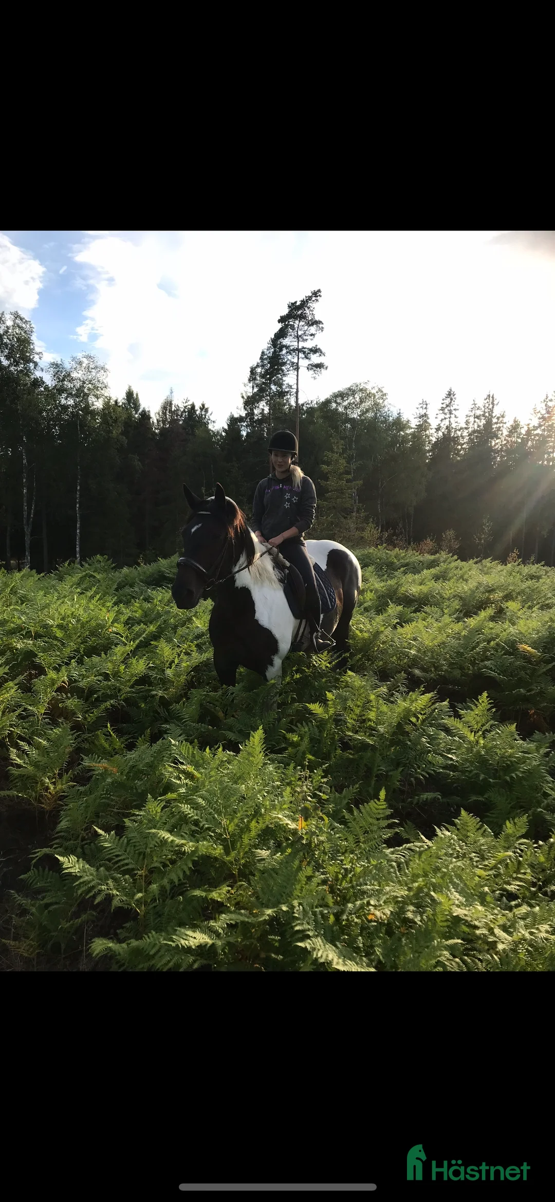  hästservice finnes: Inridning och tillridning  i Korsberga - Annons 2