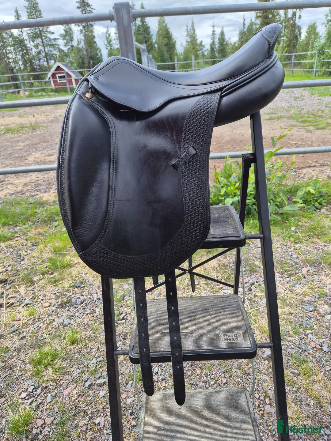 Sadlar hästutrustning till salu: Ergo-X Salmiak dressyrB1 17''N XW - Annons 2