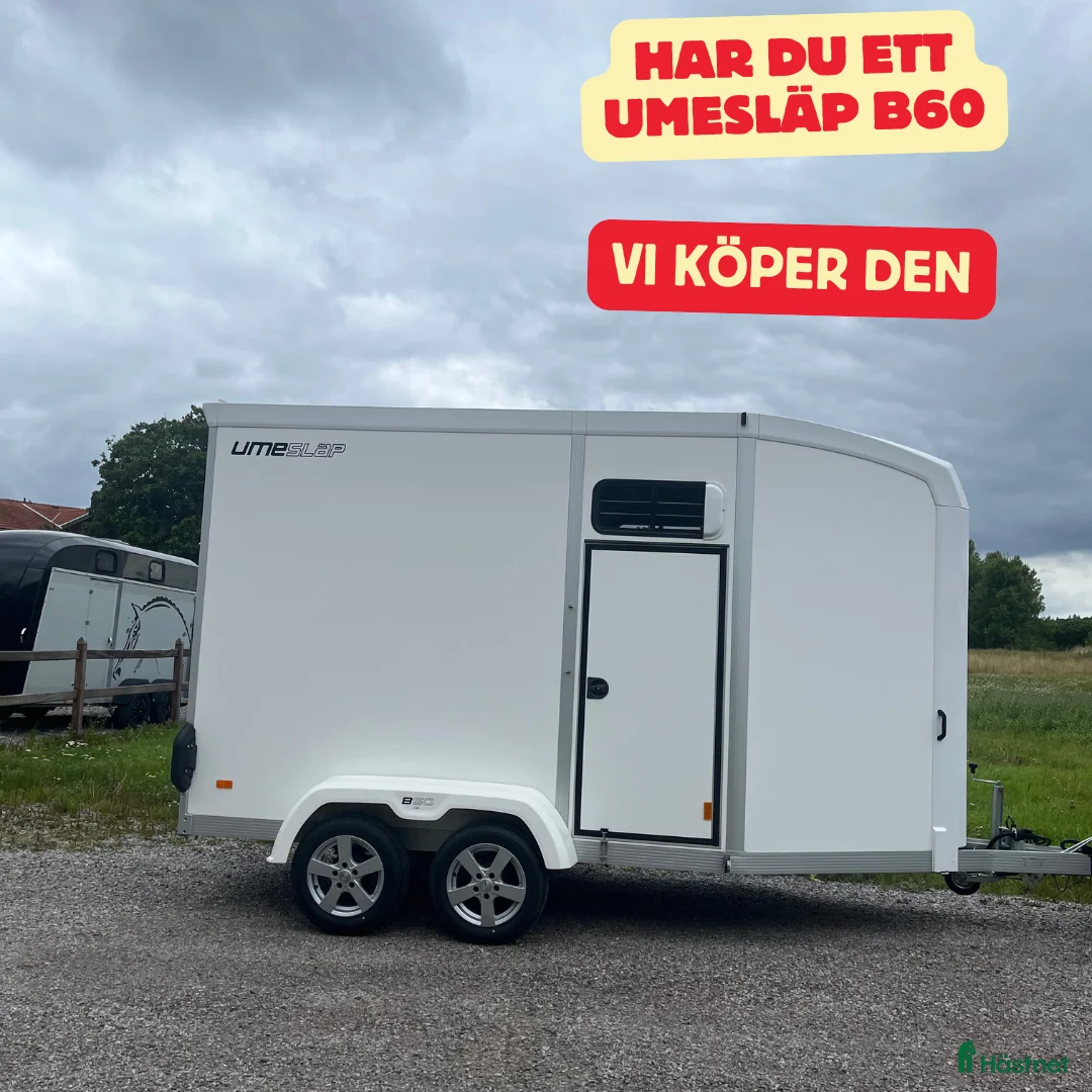Hästtransporter  fordon & transport till salu: UMESLÄP KÖPES i Vallentuna - Annons 1