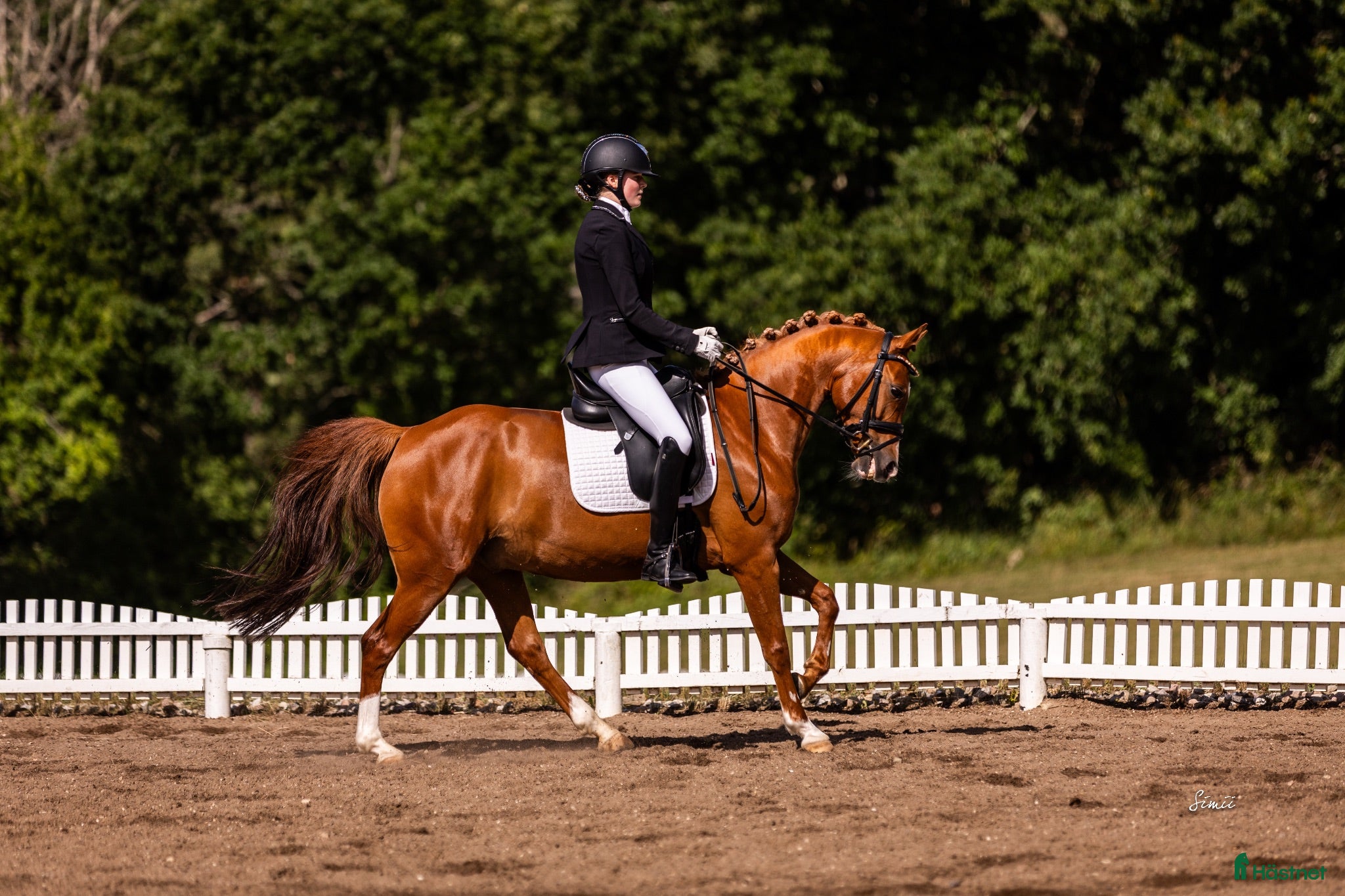  hästar FEI Dressurpony  - Annons 2