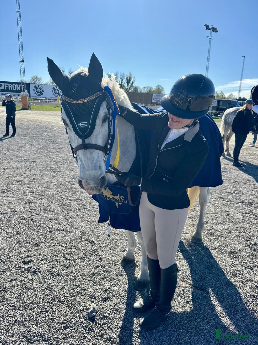 Hoppning hästar till salu: En riktig rosett plockare i lägre klasser i Norra Sorunda - Annons 4