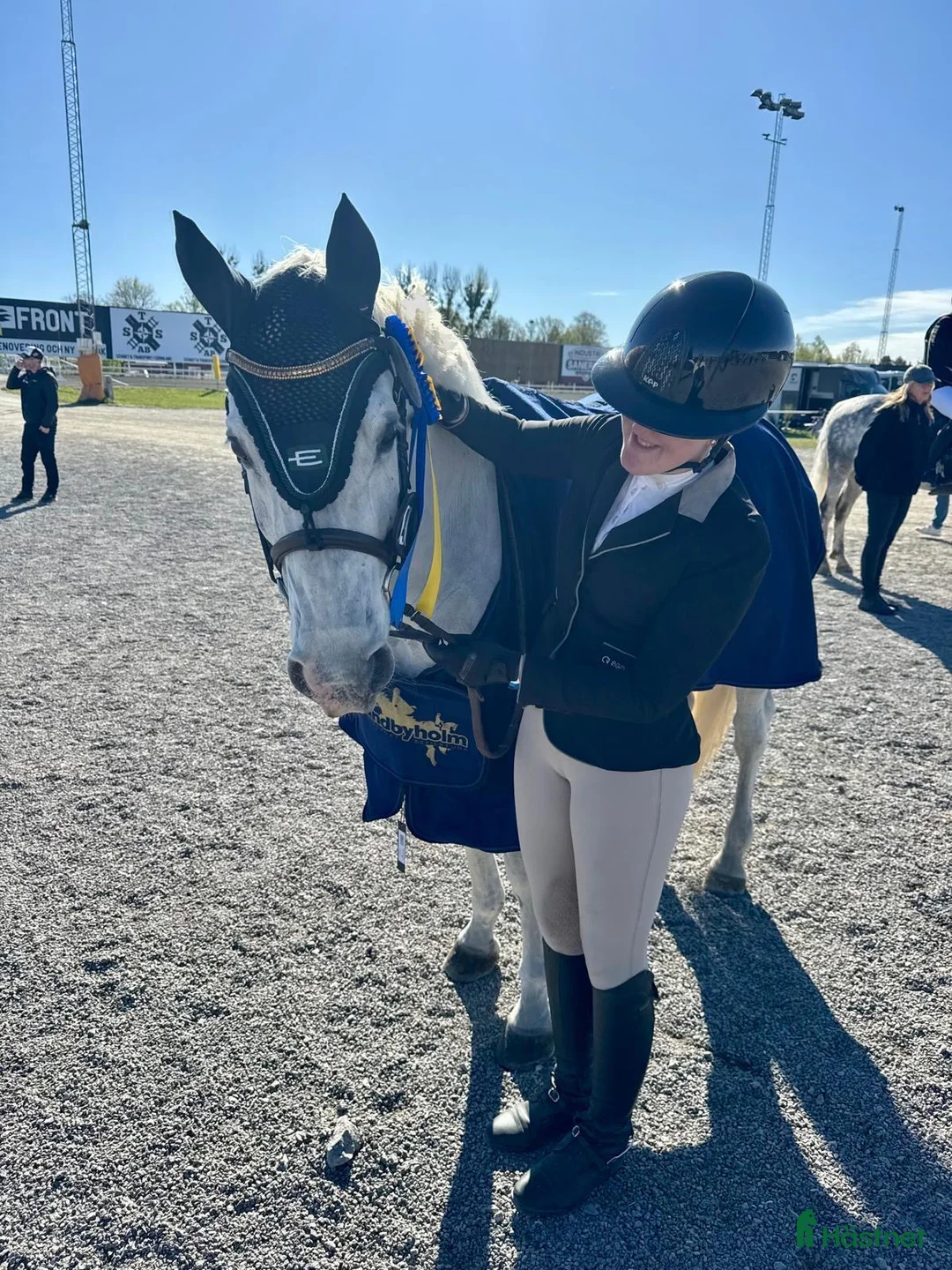 Hoppning hästar till salu: En riktig rosett plockare i lägre klasser i Norra Sorunda - Annons 4