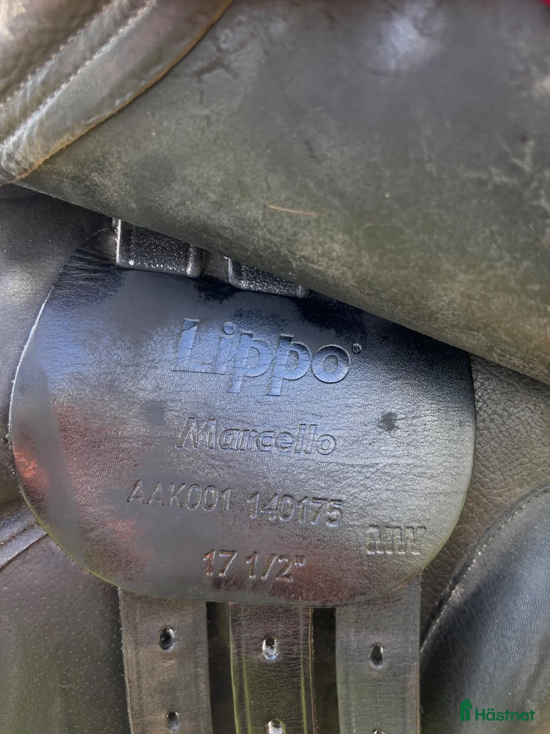 Sadlar hästutrustning till salu: Lippo Marcello - Annons 5
