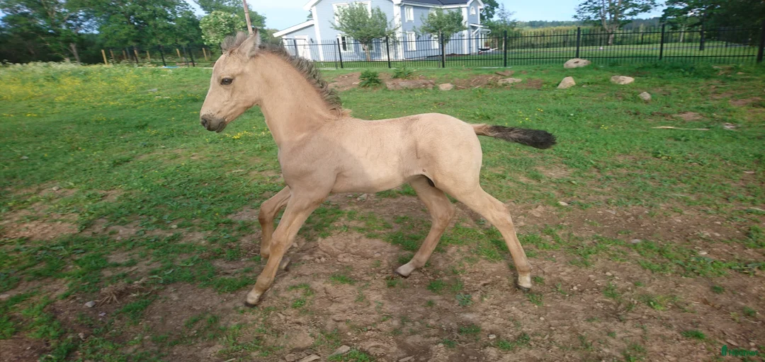 Galleribild {{count}}