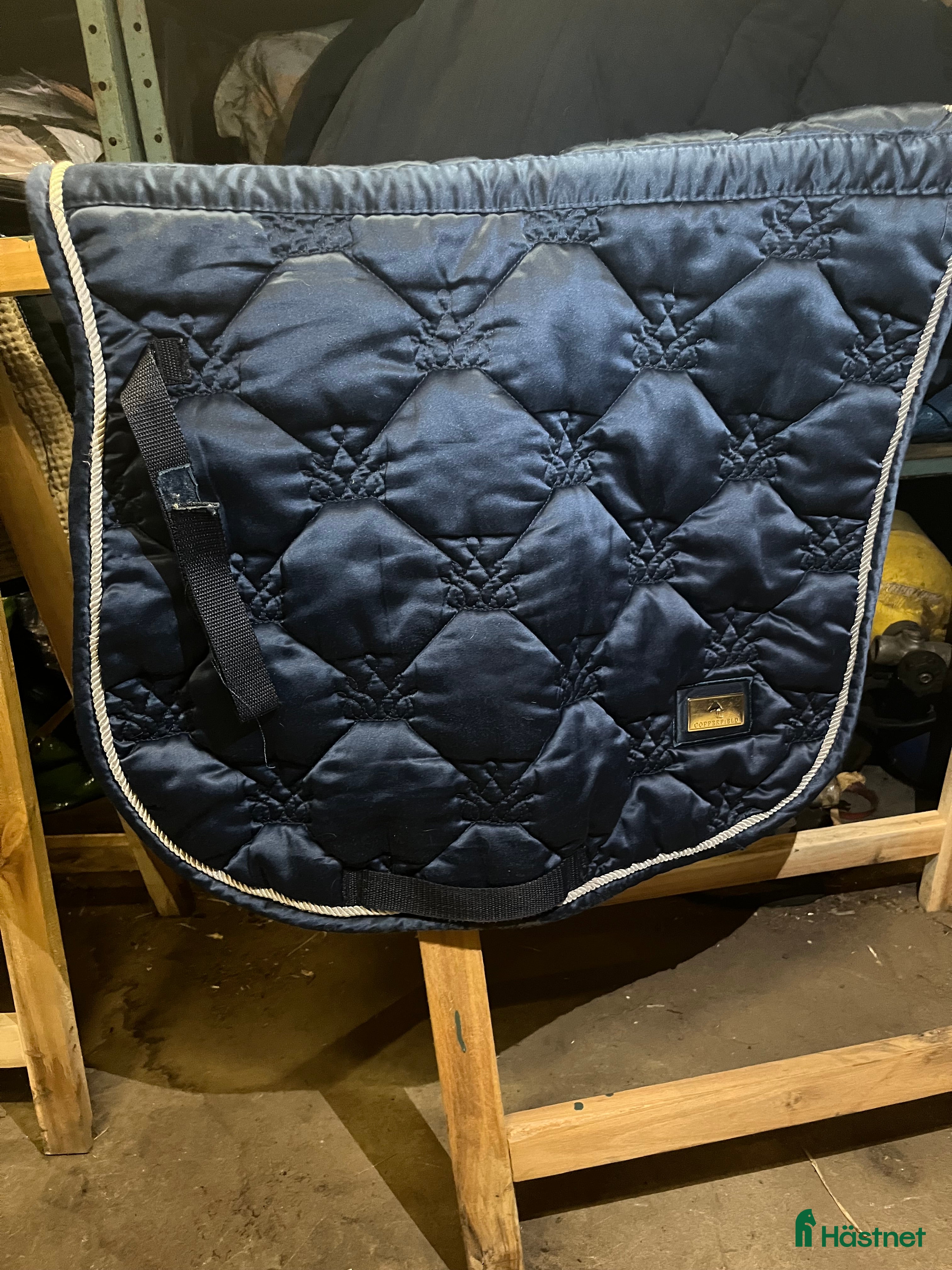 Schabrak & Vojlockar hästutrustning till salu: Copperfield  i Norrköping - Annons 4