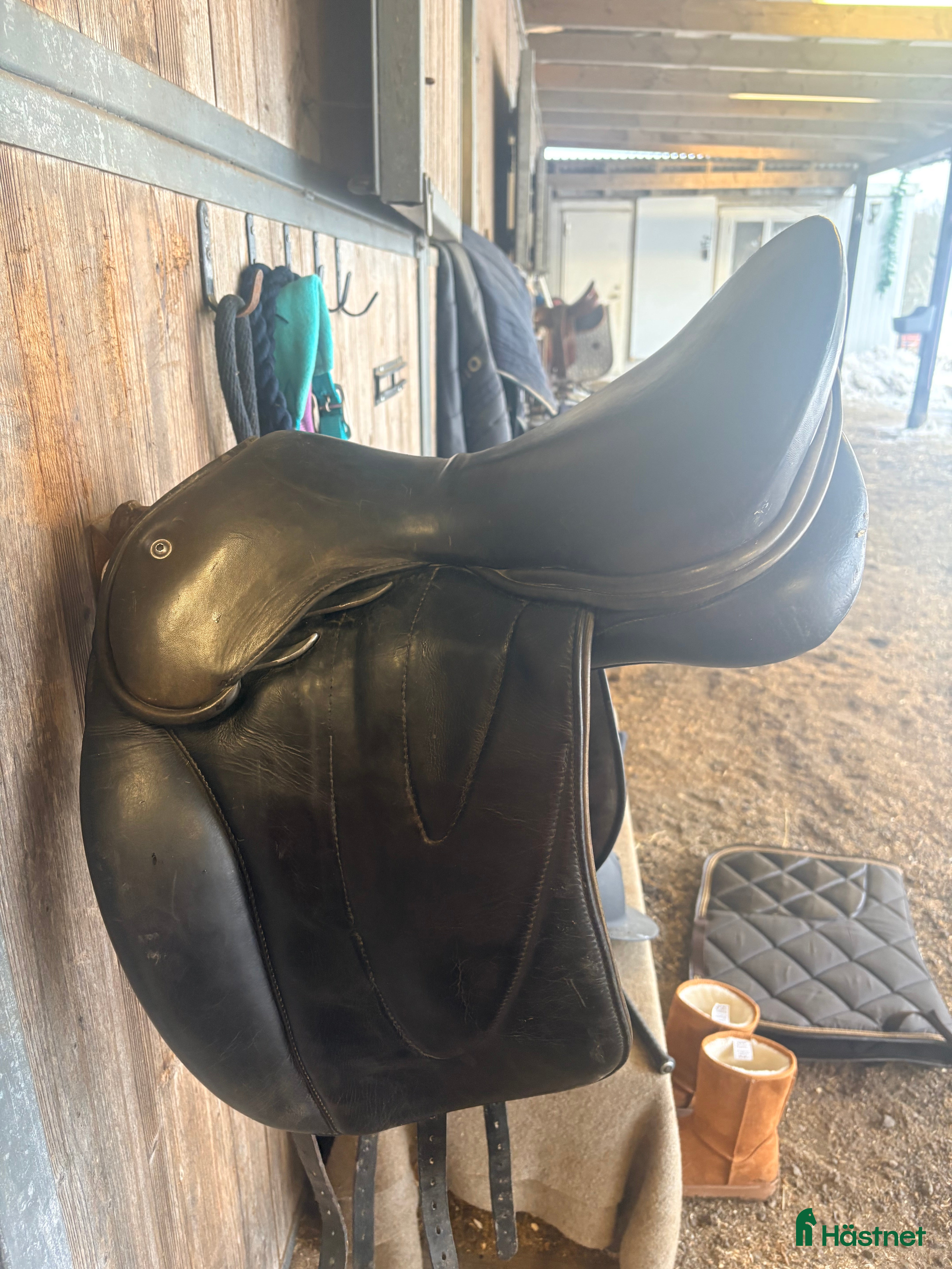 Sadlar hästutrustning Wow dressyrsadel i Jönköping - Annons 19