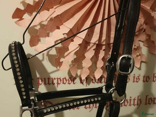 Övrig Hästutrustning hästutrustning till salu: Svart lädergrimma och grimskaft ponny/cob i Söråker - Annons 17