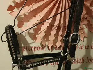 Övrig Hästutrustning hästutrustning Svart lädergrimma och grimskaft ponny/cob i Söråker - Annons 4