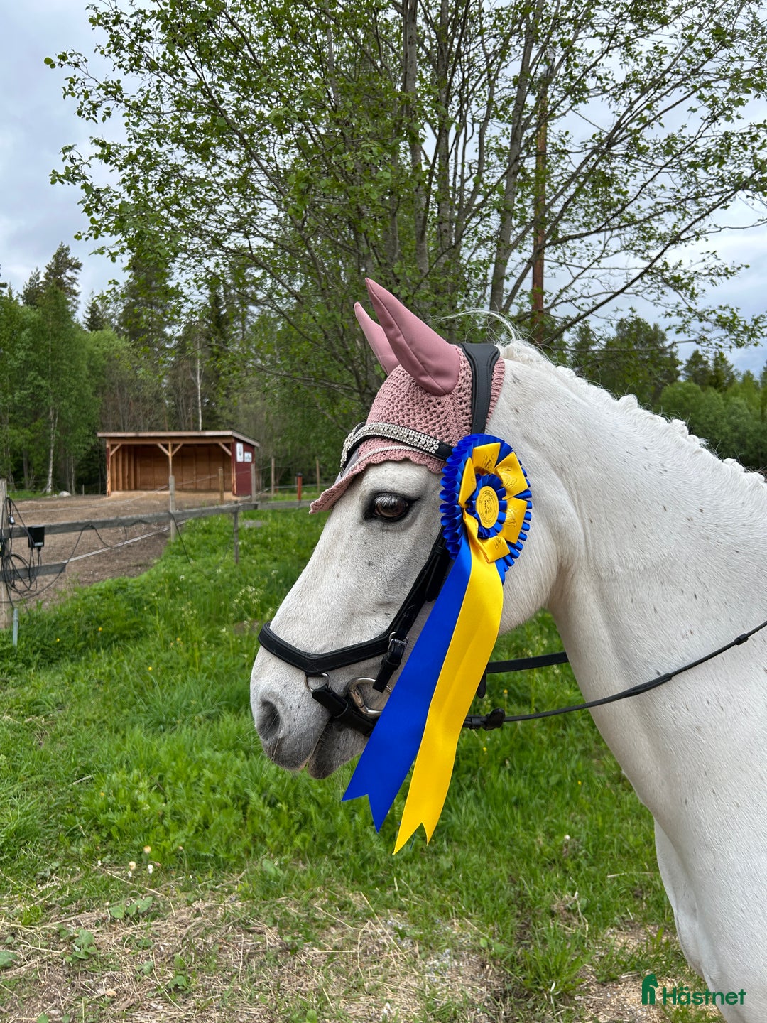 Galleribild {{count}}