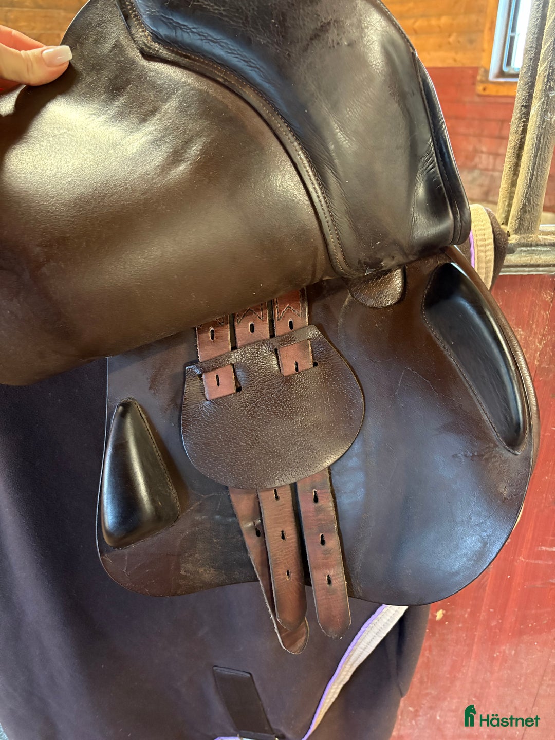 Sadlar hästutrustning till salu: Equipe Emporio hoppning i Emmaboda - Annons 4