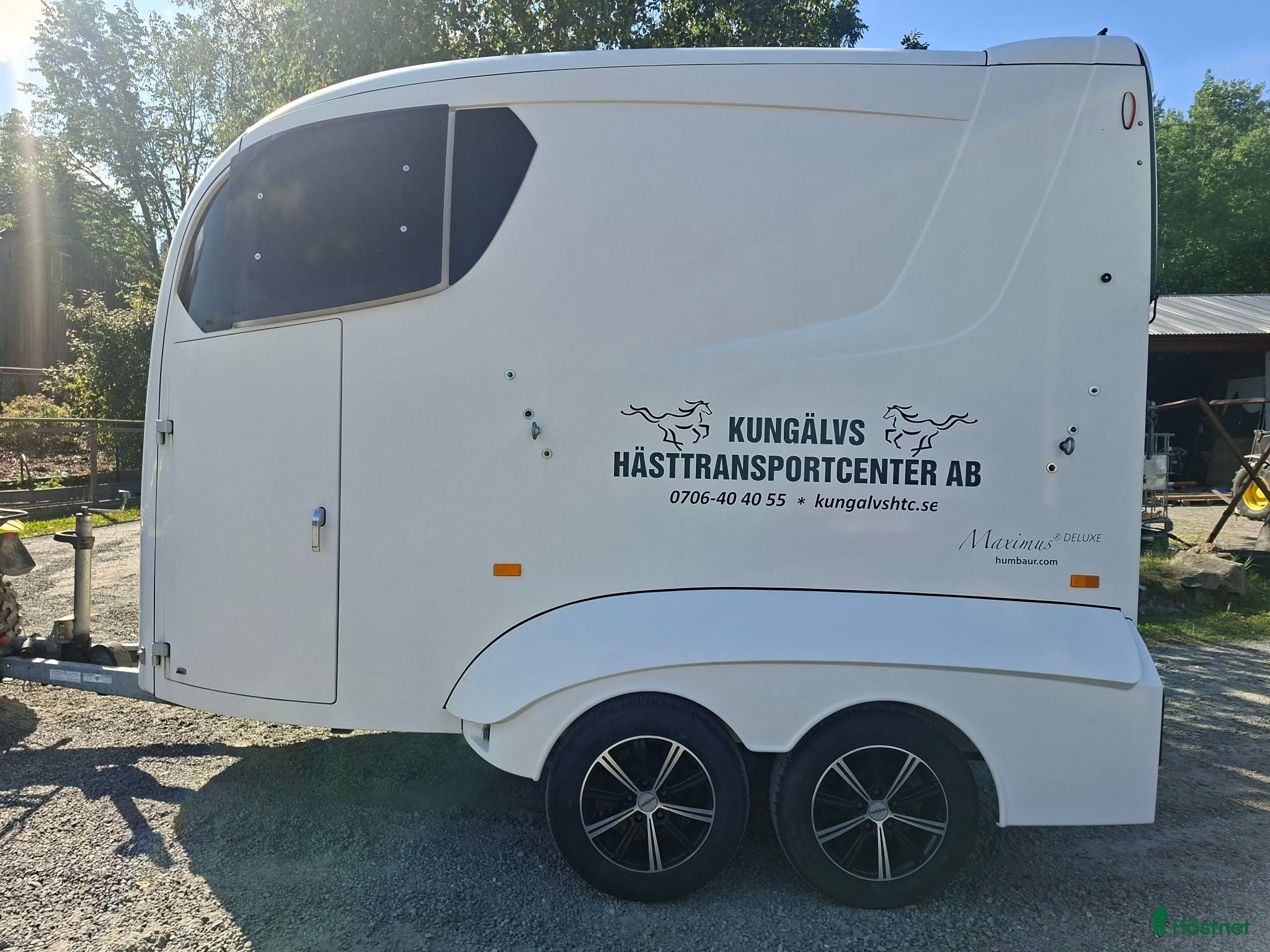 Hästtransporter  fordon & transport till salu: Humbaur Maximus - Annons 18