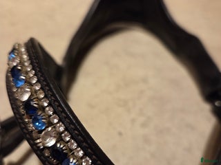 Träns hästutrustning till salu: High Jump i Umeå - Annons 2