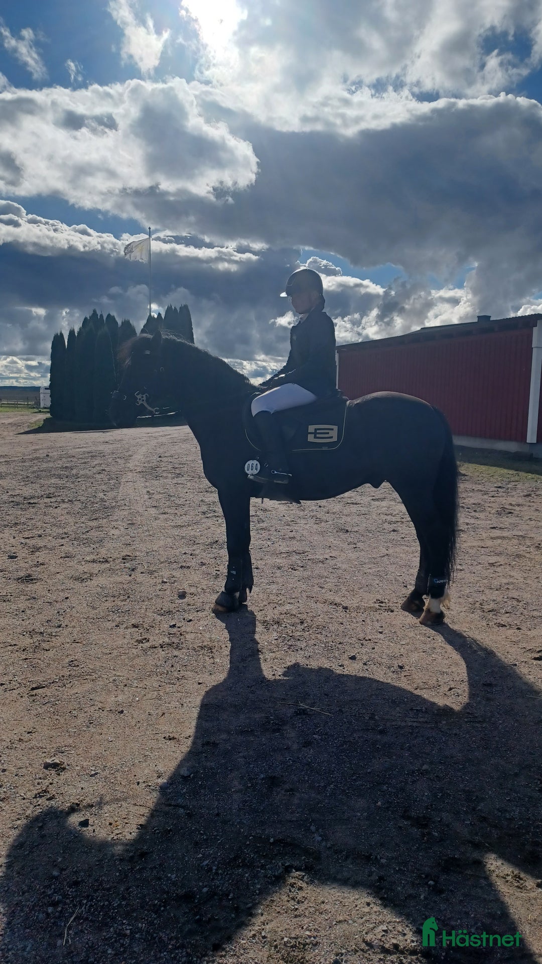  medryttarhäst finnes: Medryttare sökes till tre ponnyer i Tjällmo - Annons 1