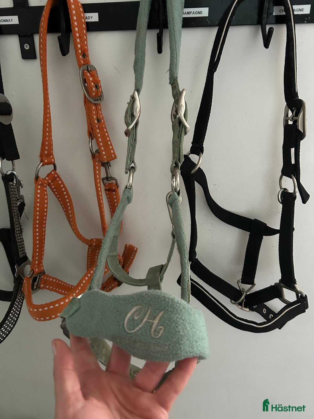 Övrig Hästutrustning hästutrustning till salu: 4 cob grimmor i Vellinge - Annons 3