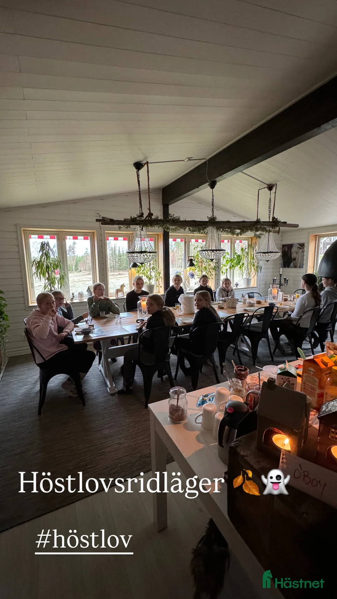  hästservice finnes: Ridläger i vackra Bergslagen! i Riddarhyttan - Annons 12