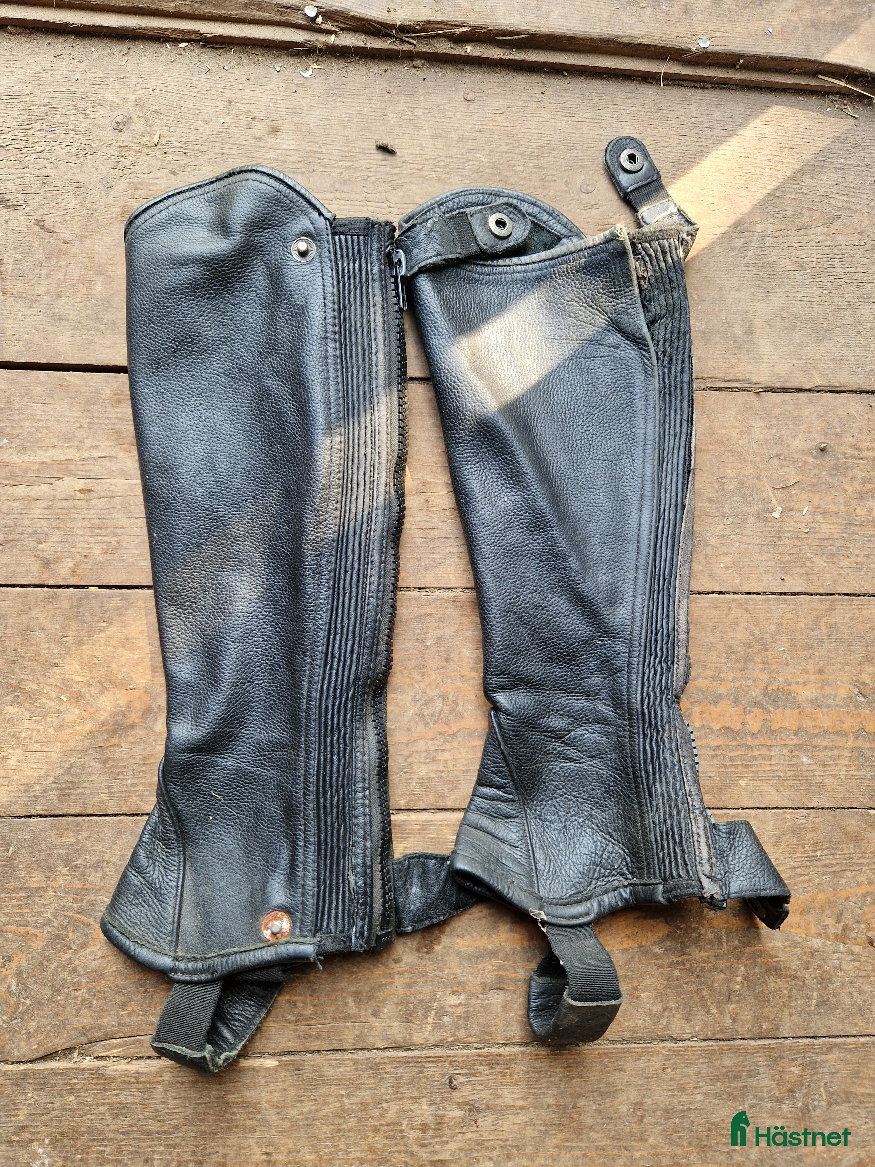 Övrig Ryttarutrustning ryttarutrustning till salu: Ridshaps  i Molkom - Annons 12