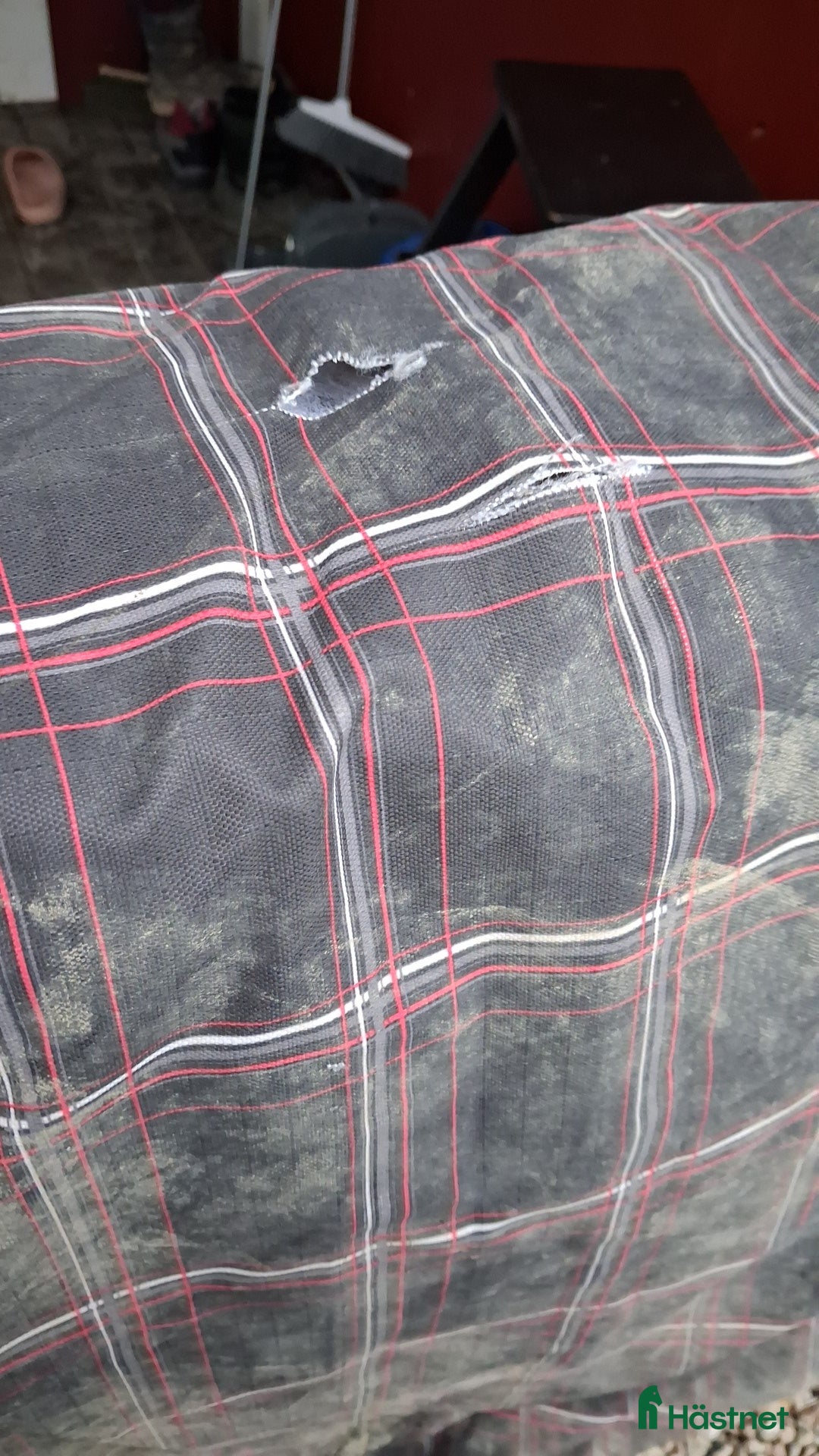 Täcken hästutrustning till salu: Vintertäcke 155cm 200g i Örbyhus - Annons 3