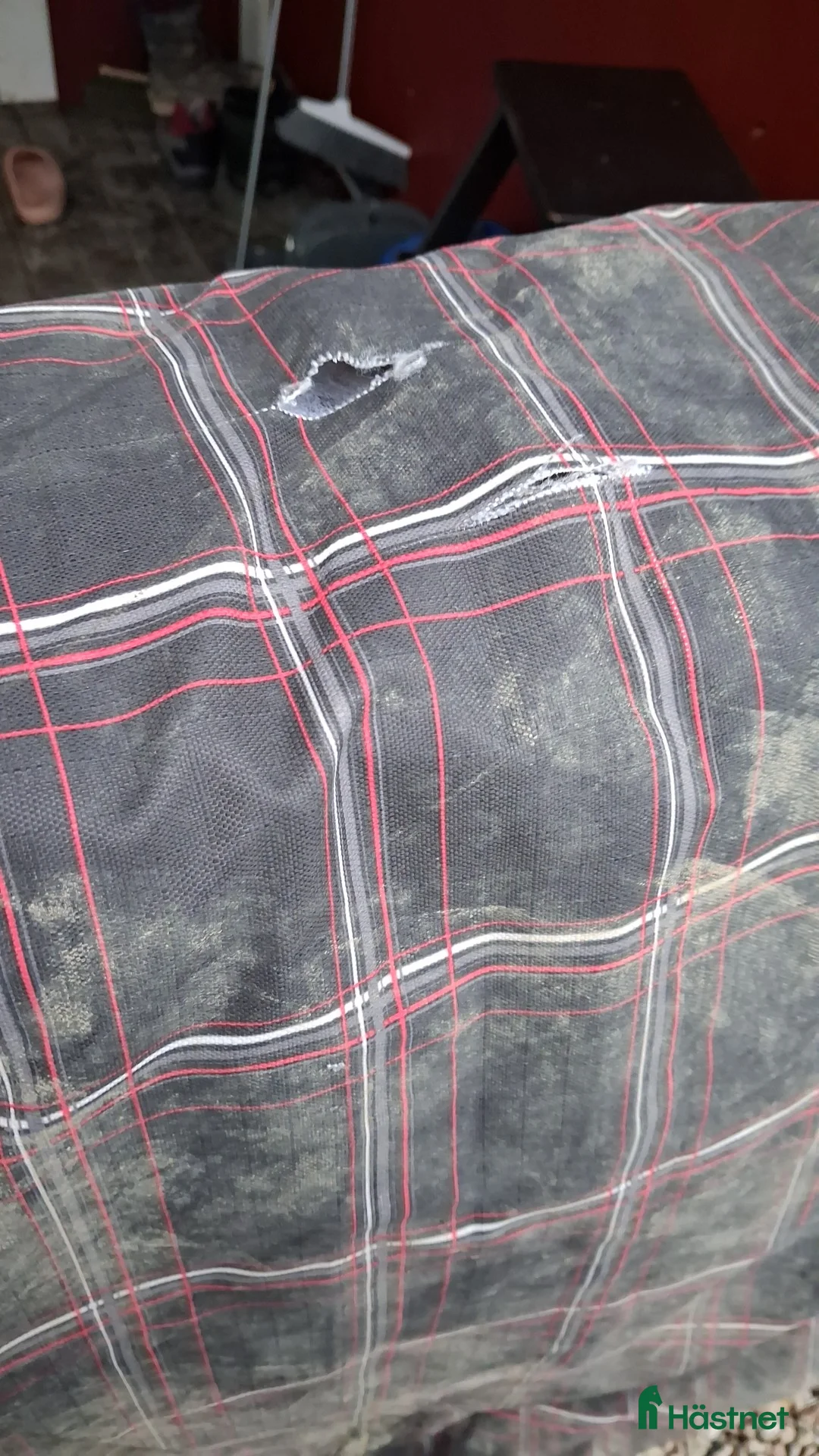 Täcken hästutrustning till salu: Vintertäcke 155cm 200g i Örbyhus - Annons 3