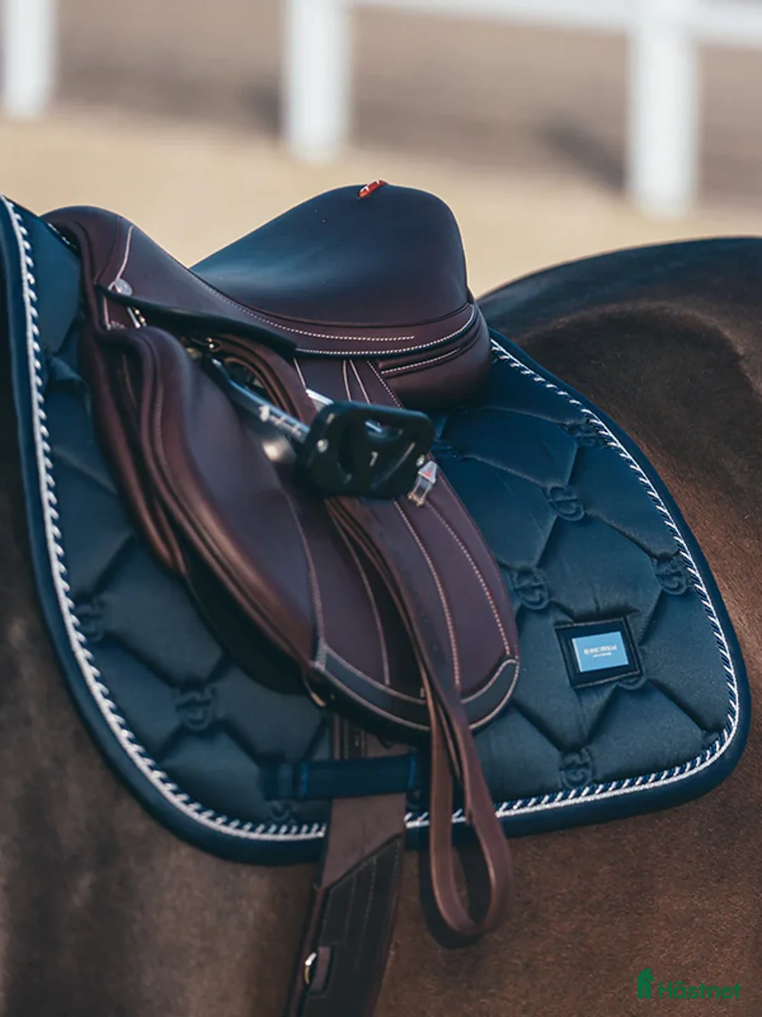 Schabrak & Vojlockar hästutrustning till salu: Es schabrak i Kalmar - Annons 2