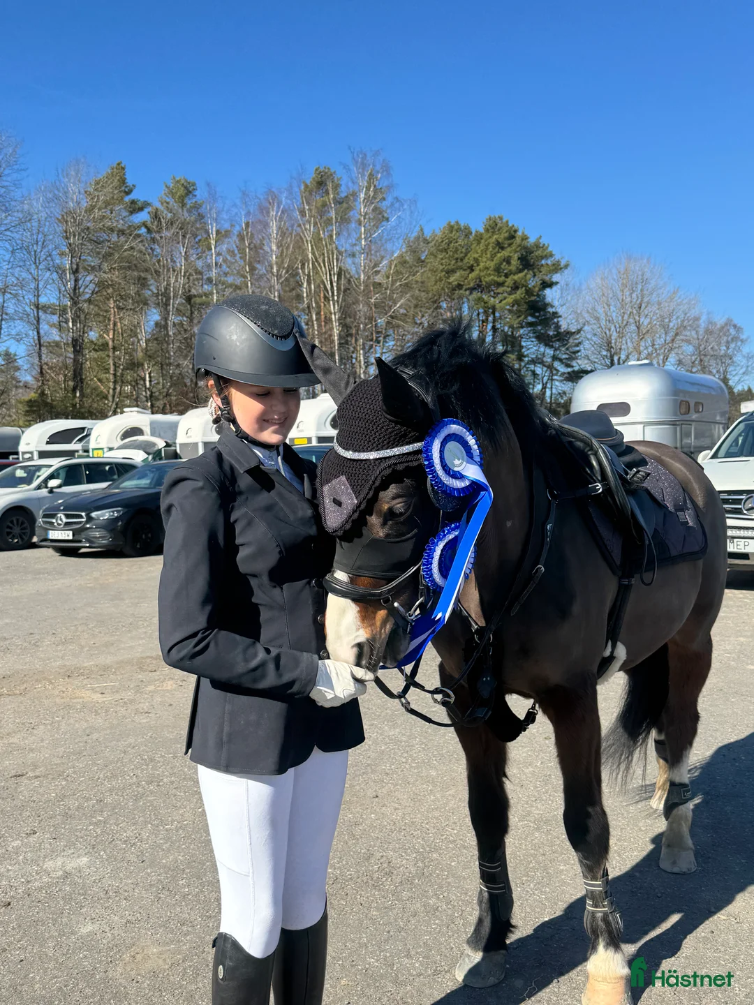 Allround hästar till salu: Charmig C-ponny söker sin nya familj i Hålta - Annons 4