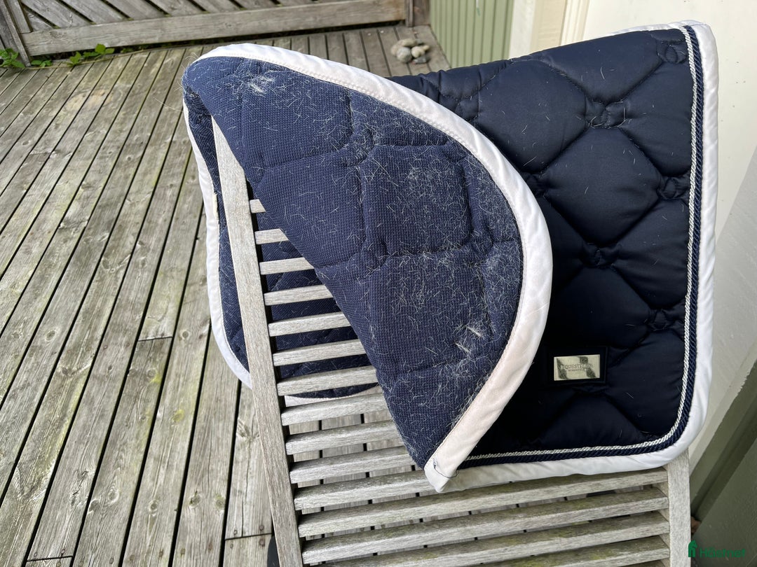 Schabrak & Vojlockar hästutrustning till salu: Hoppschabrak - Stockholm Equestrian i Göteborg - Annons 3