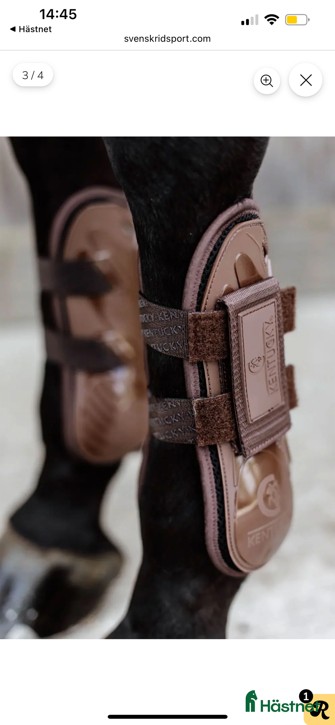 Benskydd hästutrustning till salu: Fina Kentucky benskydd storlek M i Göteborg - Annons 3