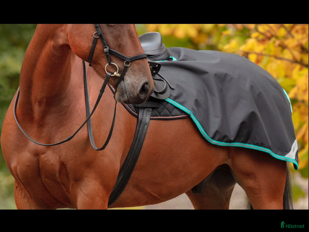 Täcken hästutrustning till salu: Horseware ridtäcke i Lund - Annons 2