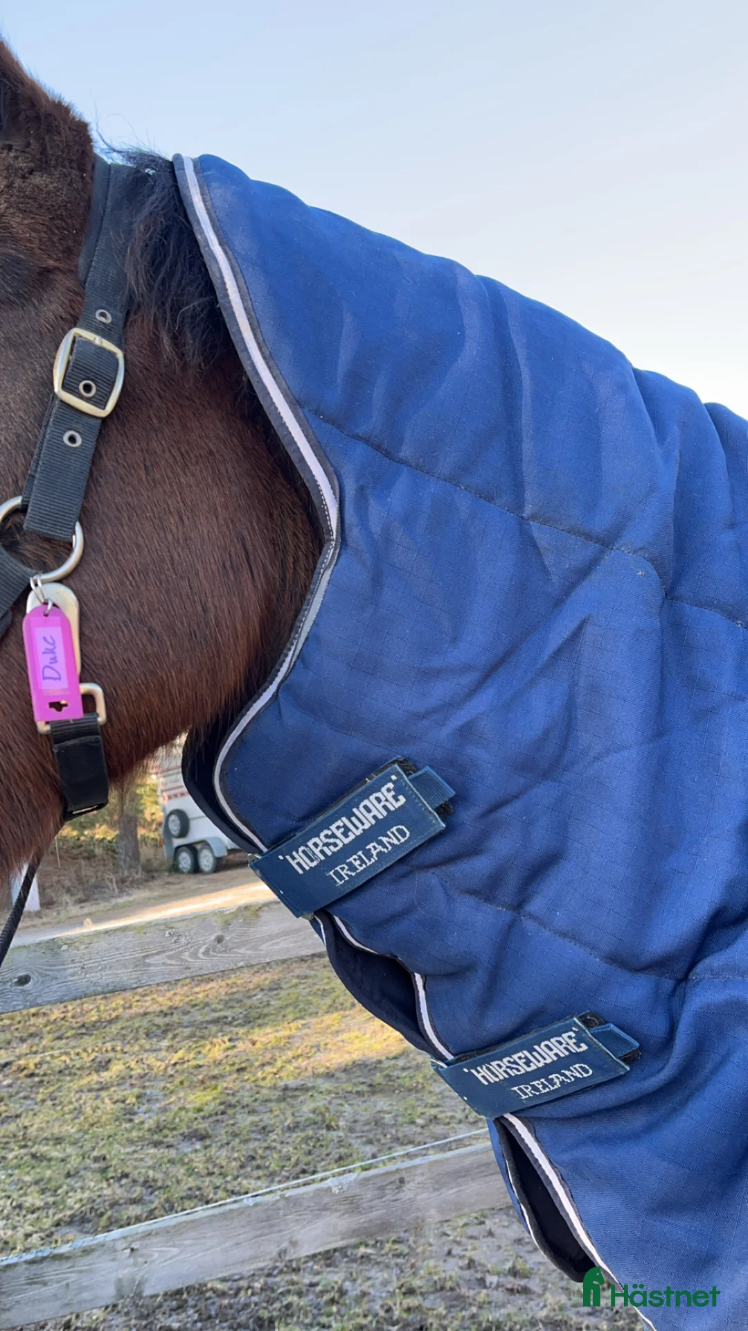 Täcken hästutrustning till salu: Rambo Horsewear stalltäcke i Värmdö - Annons 6