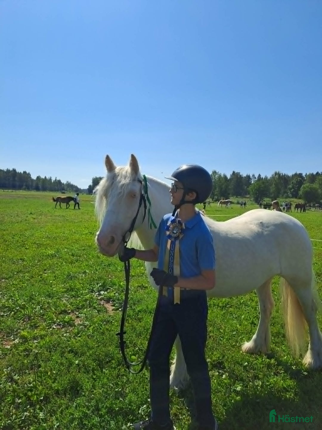 Allround hästar till salu: Trevlig familjeponny i Karlholmsbruk - Annons 4