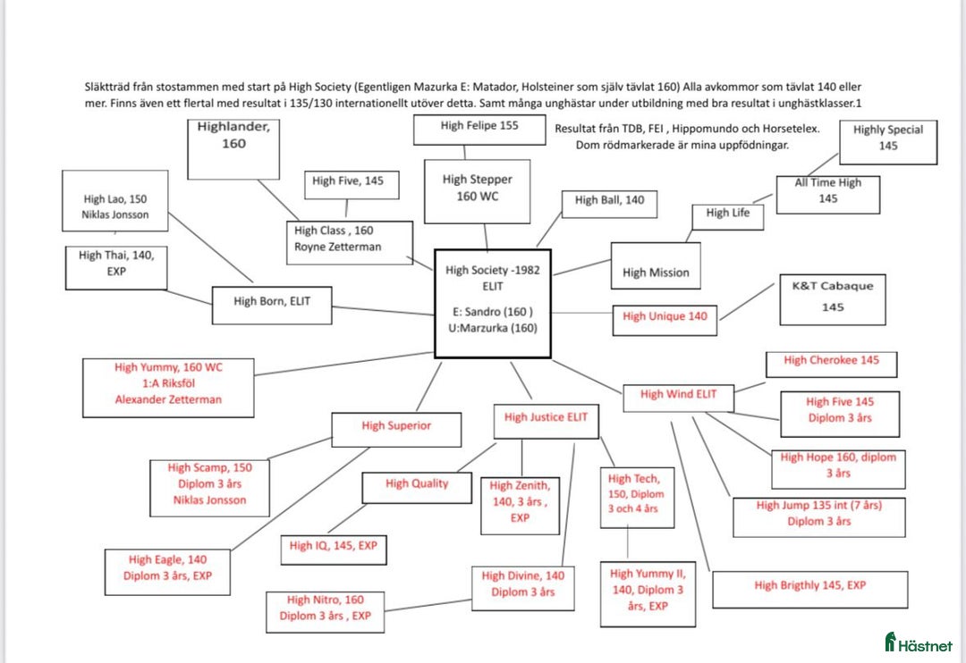 Hoppning hästar till salu: Tävlings ryttare se hit!!! i Karlstad - Annons 2