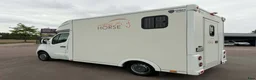 Hästlastbilar  fordon & transport till salu: NORDIC HORSE 3 – hela 1 270 kg i lastvikt! - Annons 4