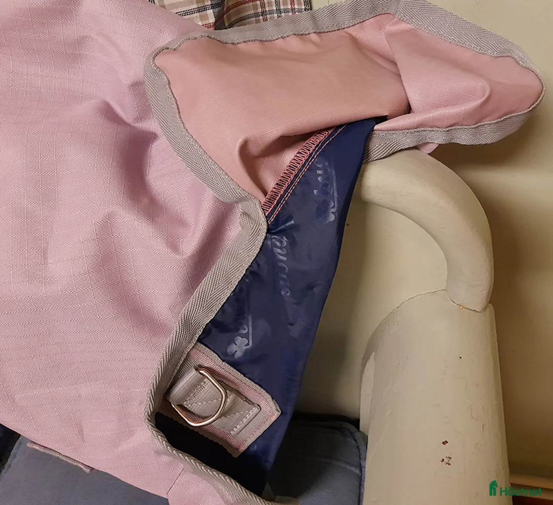 Täcken hästutrustning till salu: Mini 70/100 Bucas Turnout Light i Gammelstad - Annons 6