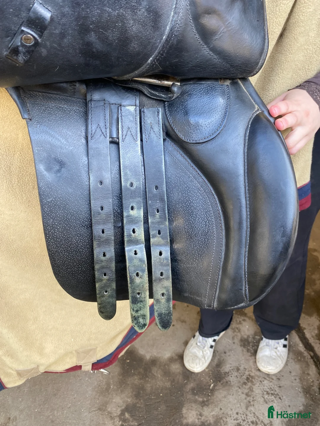 Sadlar hästutrustning till salu: Globus sadel till salu i Söderköping - Annons 6