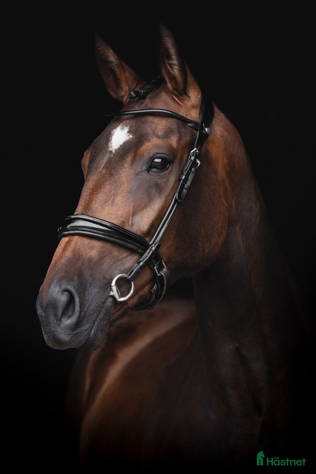 Dressyr hästar till salu: Sto med bra ridbarhet i Edsvalla - Annons 1