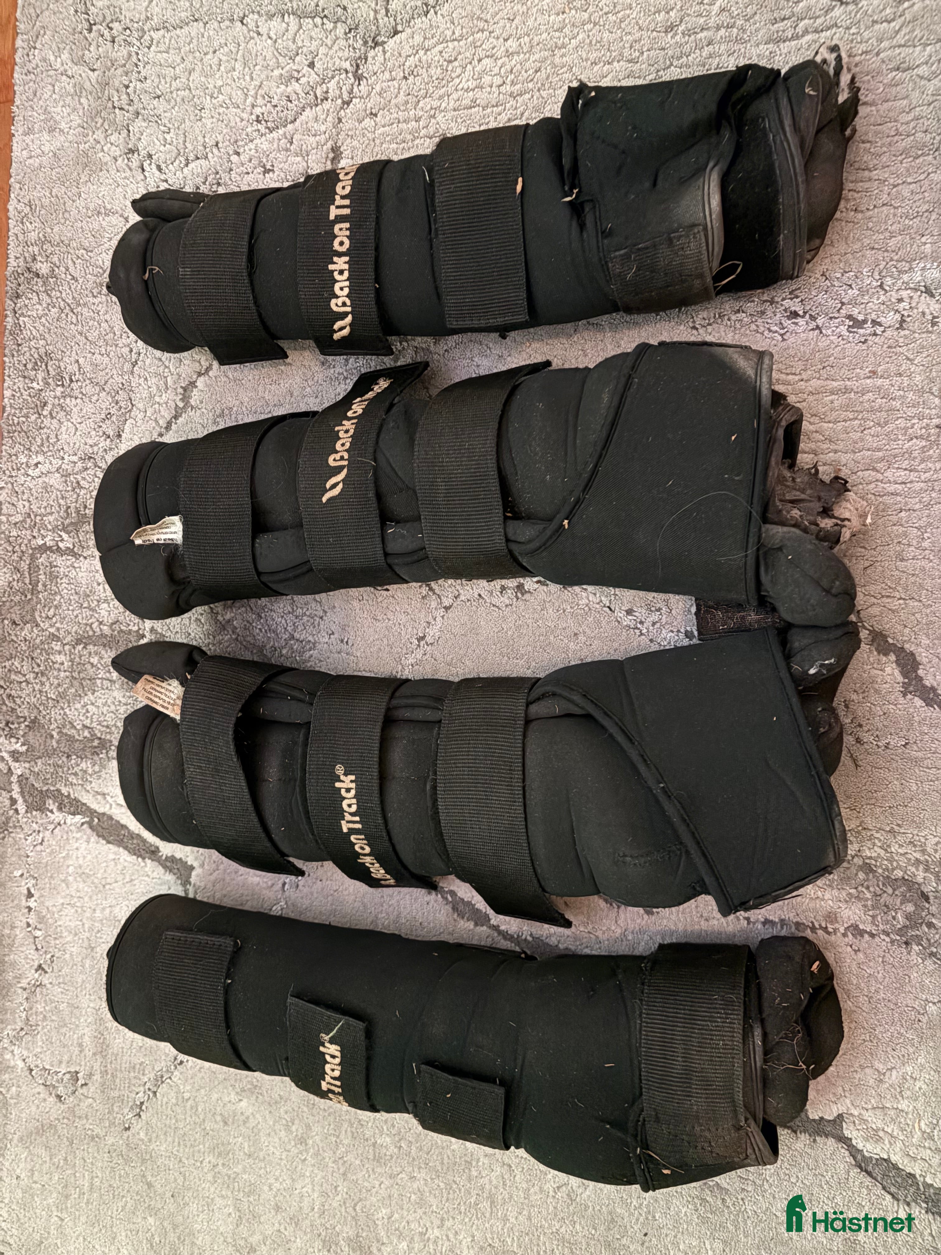 Benskydd hästutrustning Back on track stallbandage  - Annons 2