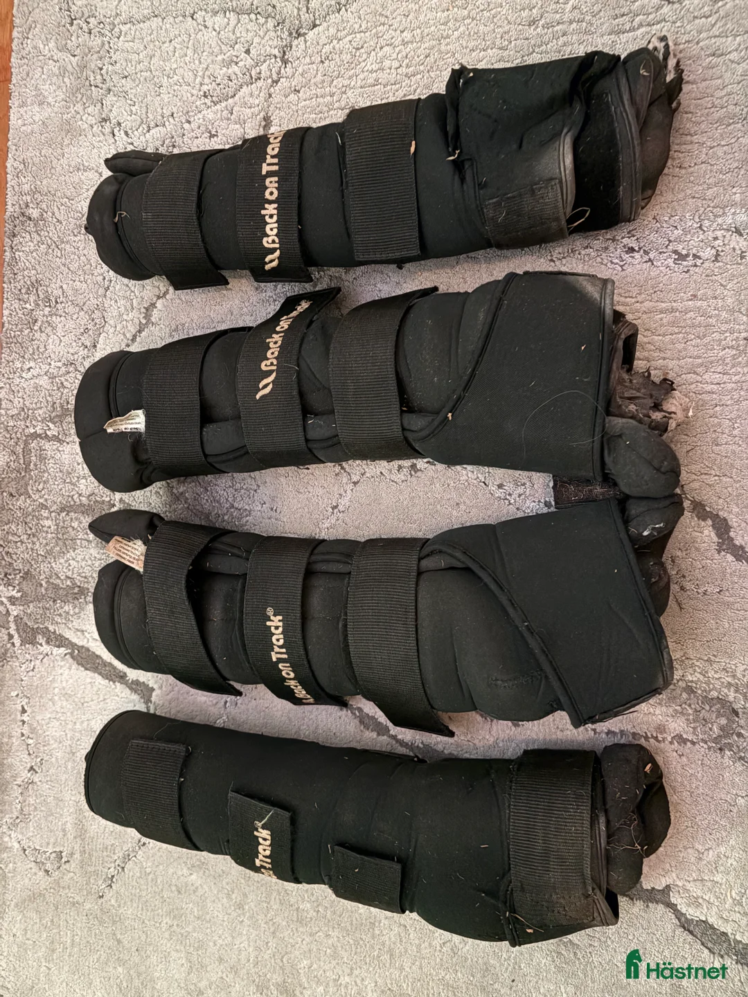 Benskydd hästutrustning till salu: Back on track stallbandage  - Annons 1