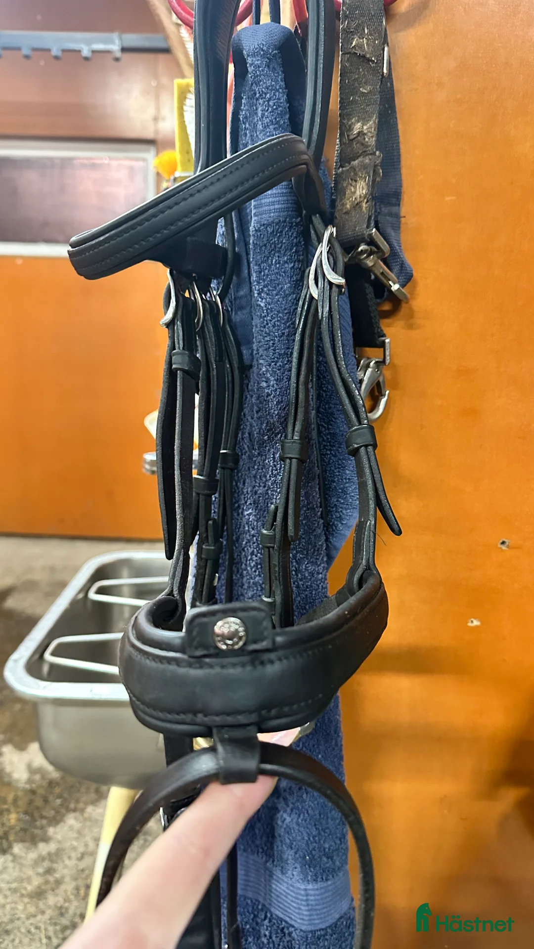 Träns hästutrustning till salu: Svart Antares origin träns storlek full i Boden - Annons 1