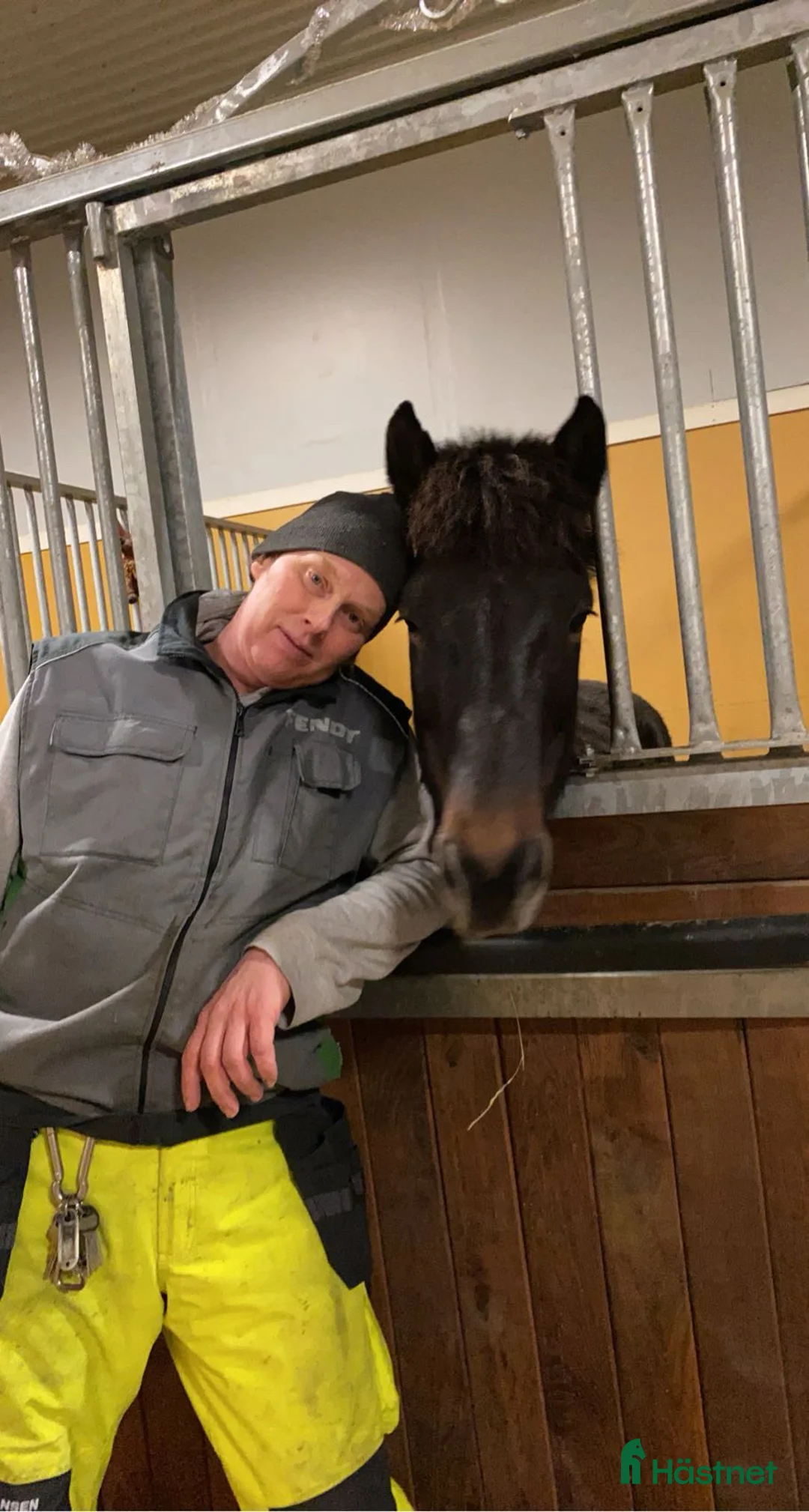  stallplats finnes: Privat Stallplats på Lantbruk  - Annons 3