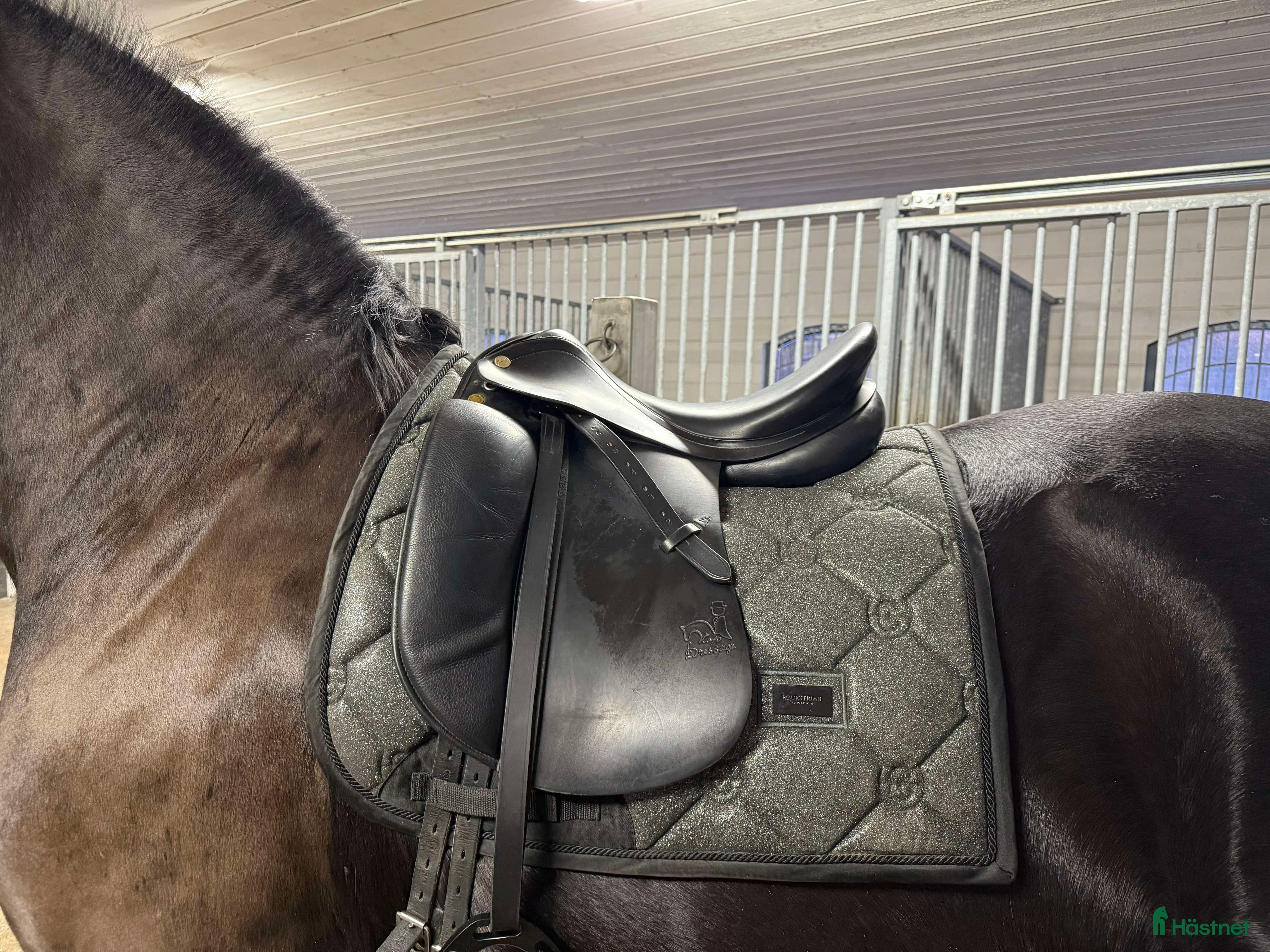 Sadlar hästutrustning Prestige top dressage - Annons 2