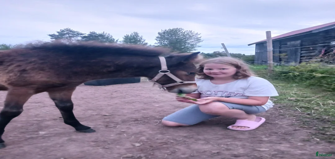 Galleribild {{count}}