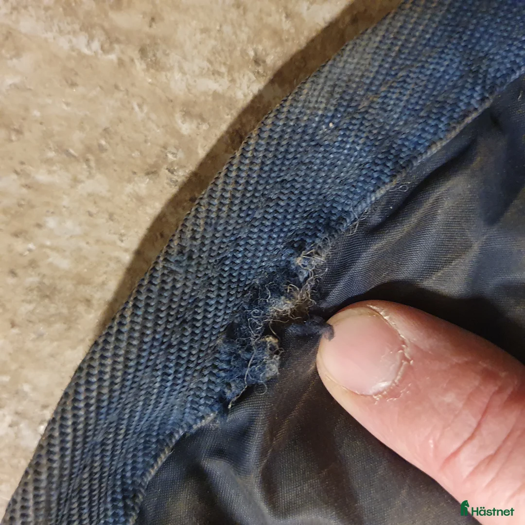 Täcken hästutrustning till salu: Horseware Amigo Hero 6 plus heavy 6.3/140 i Tranås - Annons 9