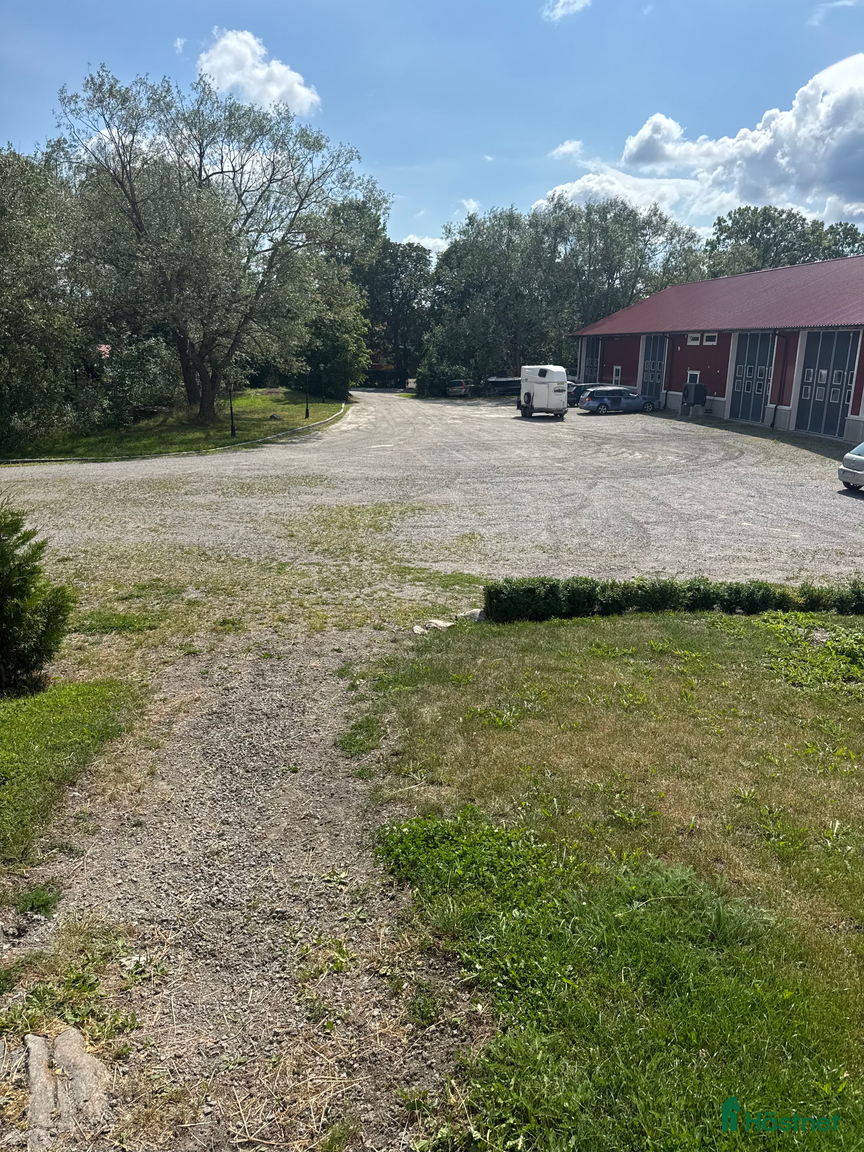 Hoppning hästar till salu: Intressekoll - Annons 3