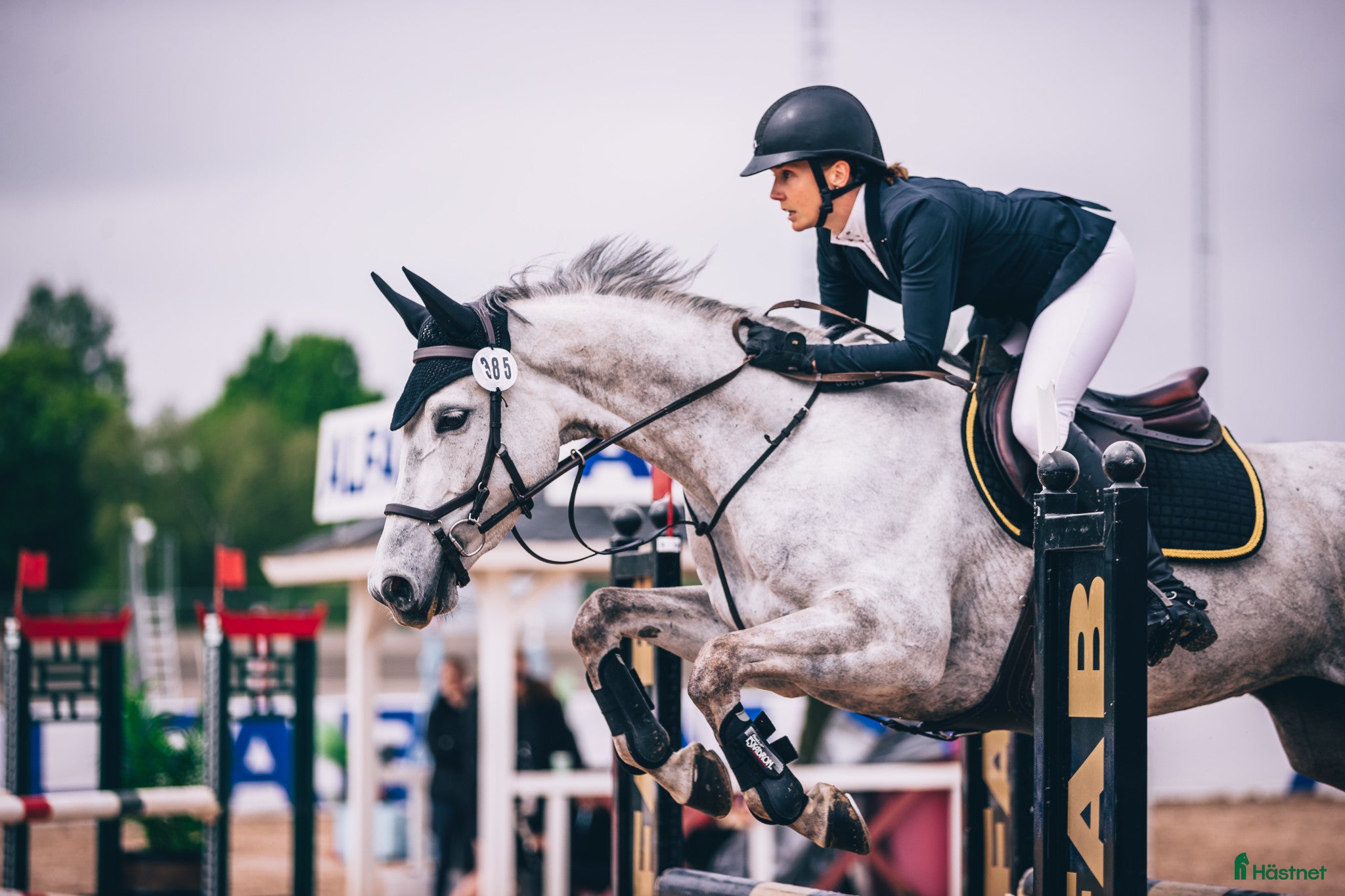  hästservice Utbildning, tävling och försäljning i Sala - Annons 1