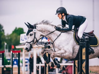 hästservice Utbildning, tävling och försäljning i Sala - Annons 2