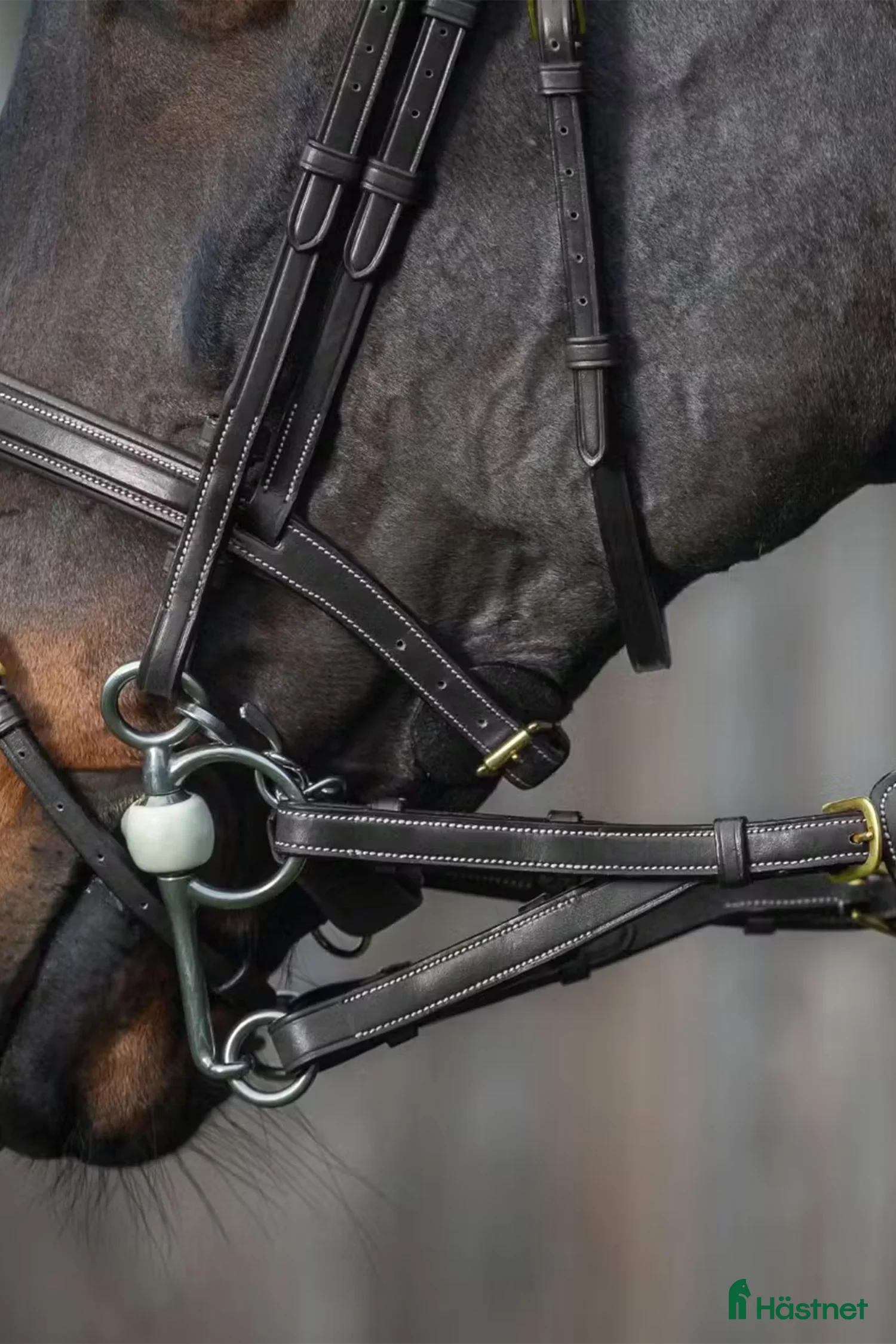 Övrig Hästutrustning hästutrustning Dyon svarta deltatyglar i Kristinehamn - Annons 21