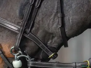 Övrig Hästutrustning hästutrustning Dyon svarta deltatyglar i Kristinehamn - Annons 21