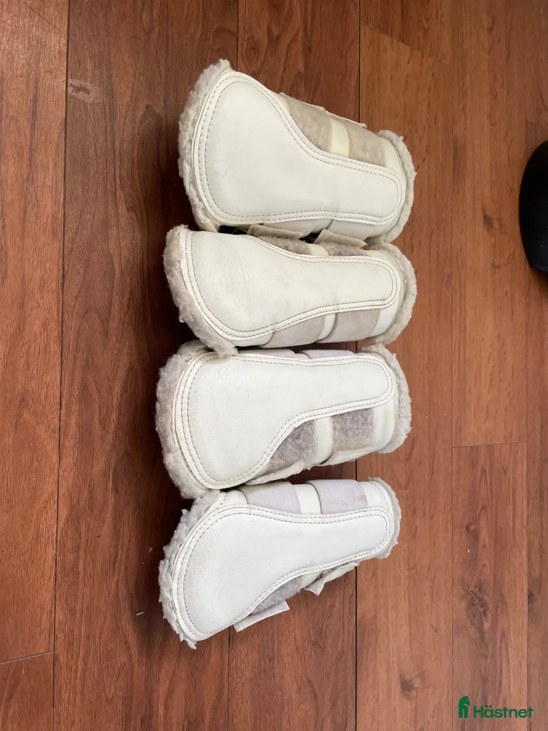 Benskydd hästutrustning till salu: Dressyr skydd  - Annons 3